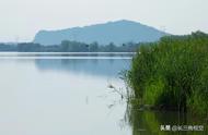 西湖再现：苎溪漾的初夏美景