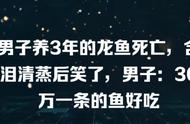 养了3年的龙鱼离世，男子含泪清蒸后竟笑出声？男子：这条价值30万的鱼居然如此美味！