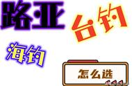 钓鱼新手必看：了解台钓、路亚和海钓的不同