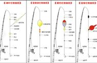 海洋探险者的秘密：海钓钓组图解教程