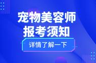 官网认证的宠物美容师证书报考流程