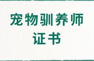 如何获取宠物驯养师证书？报名流程解析