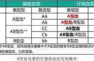 避免新生仔猫溶血症的秘诀是什么？猫咪血型分布是否受到品种影响？