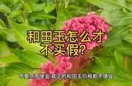 和田玉的鉴别方法是什么？