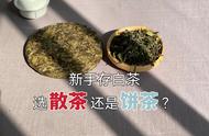 新手存茶必知：散茶与饼茶在白茶转化中的差异