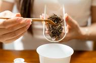 喝红茶不再迷茫：7个知识点助你成为红茶达人