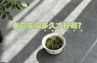 老茶客为何对闷泡老白茶敬而远之？4个事实让你大开眼界