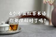 红茶术语大揭秘：金圈、冷后浑、红叶红汤，提升你的茶道修养