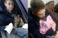 虎斑猫被从车窗抛出，14岁少年紧急停车救援