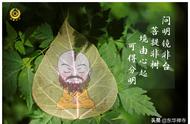 品味菩提叶书签：传统与创新的交融