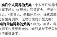 乐至养犬新规出炉，违规者将受罚！赶紧了解并执行（附详细指南）