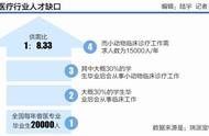 爱宠就医难题：高昂费用令人忧、兽医供不应求、专业性亟待加强