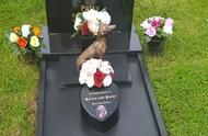 英国情深：与狗狗共葬宠物墓地，见证永恒的爱