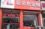 详解宠物店加盟流程，助你轻松开启事业