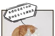 探索猫的行为：为何猫咪偏爱打翻杯子？