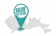 探索深圳宠物公园：毛孩子的钻圈、过独木桥大冒险