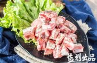 大连宠物友好餐厅：与毛孩子共享美食时光