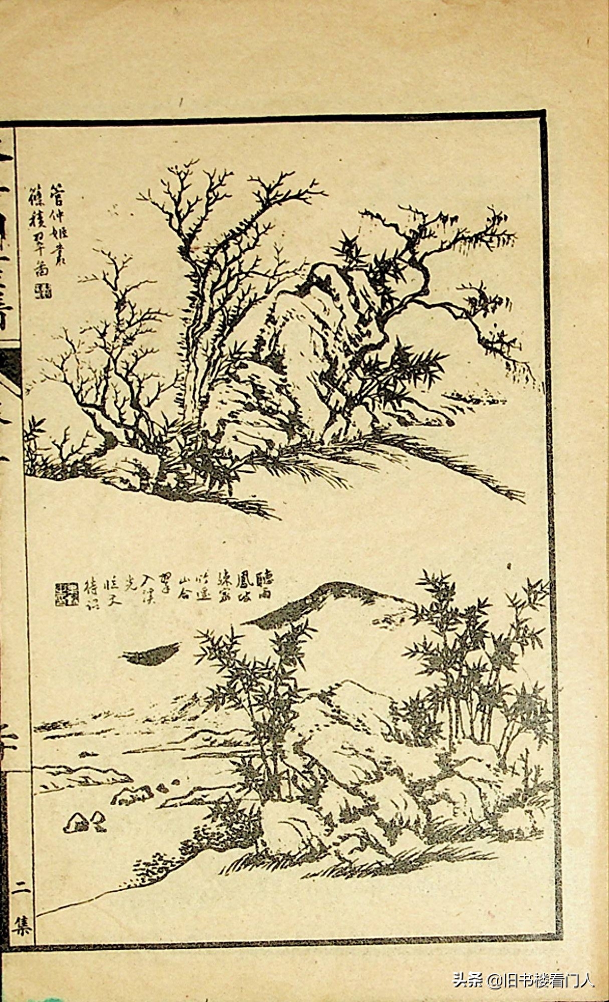 艺术类学画必修之书－《芥子园画谱·竹谱》